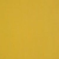 2.09R Saffron