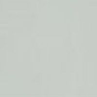 2.09S White