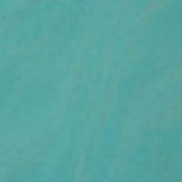 2.09U Mint