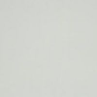 Drewno bukowe bejcowane 2.09S White