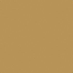 RAL 1024 Ochre Yellow OY