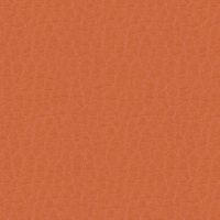 kn_143