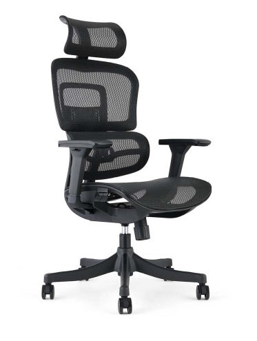 Główna galeria - Ergonomiczny fotel obrotowy ERGOMAN (2)