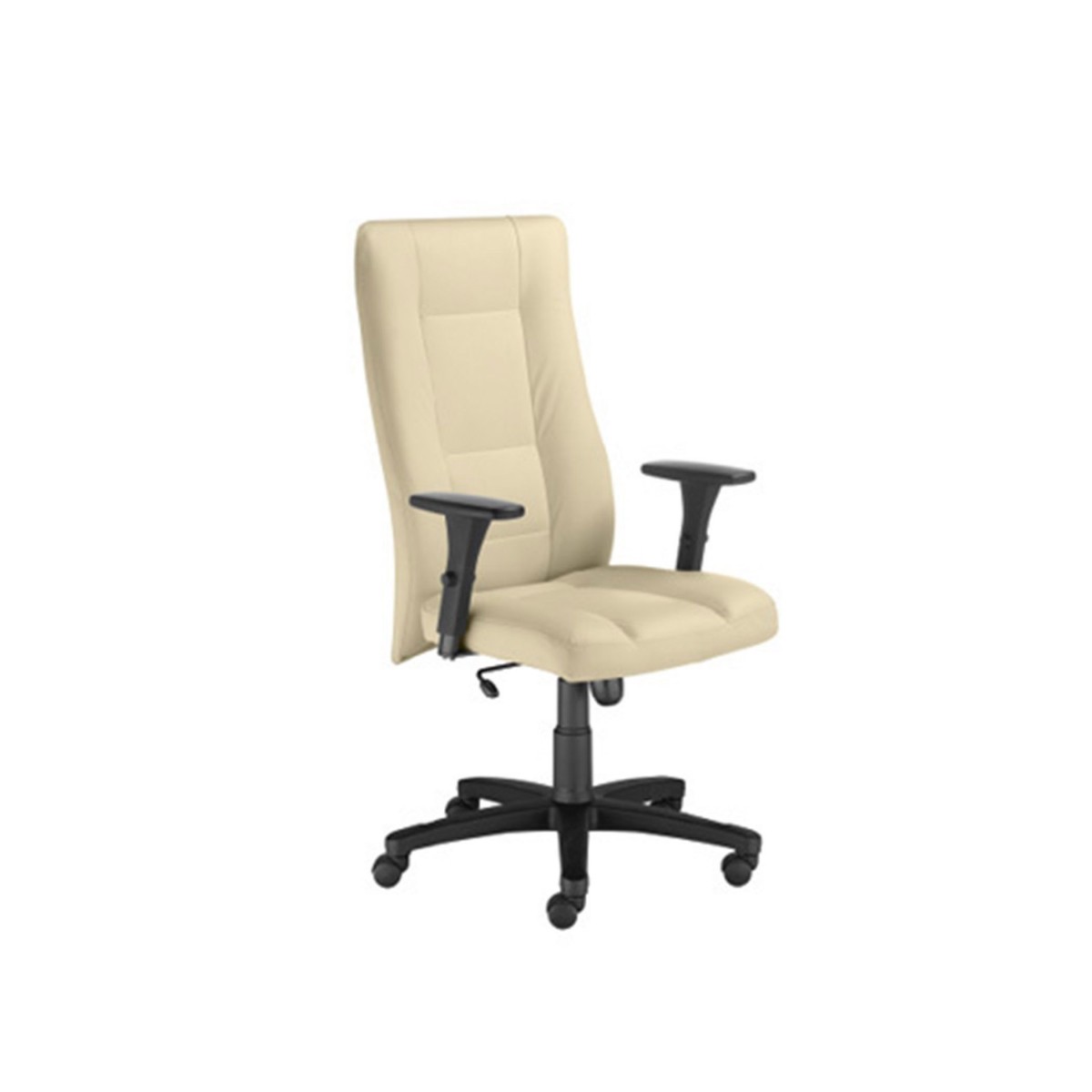 Fotel obrotowy INVITUS II TS06