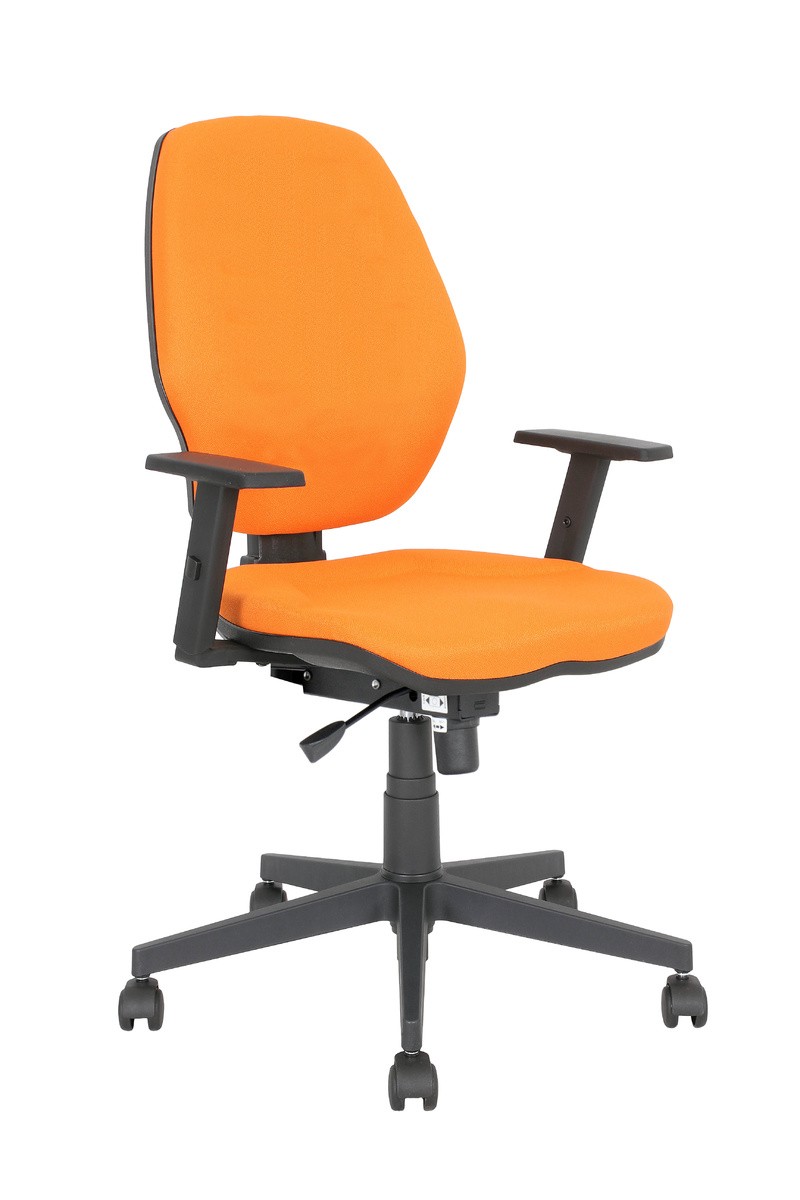 Główna galeria - Krzesło obrotowe MASTER 10 TS25 CPT (3)